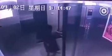 最新楼层爆料视频大全,揭秘高层建筑神秘面纱