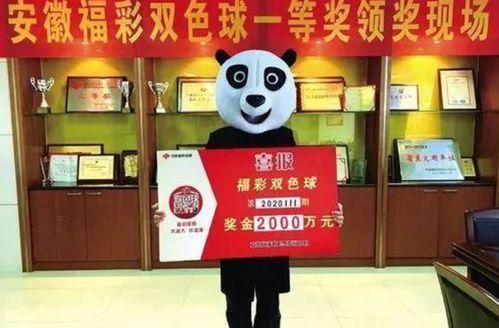 合肥刘先生最新爆料,揭秘背后惊人真相！