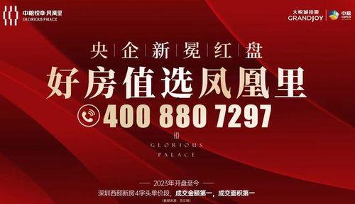 德化新闻爆料网站最新公告,揭秘背后真相与未来规划