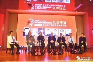 文峰最新爆料,揭秘娱乐圈不为人知的秘密